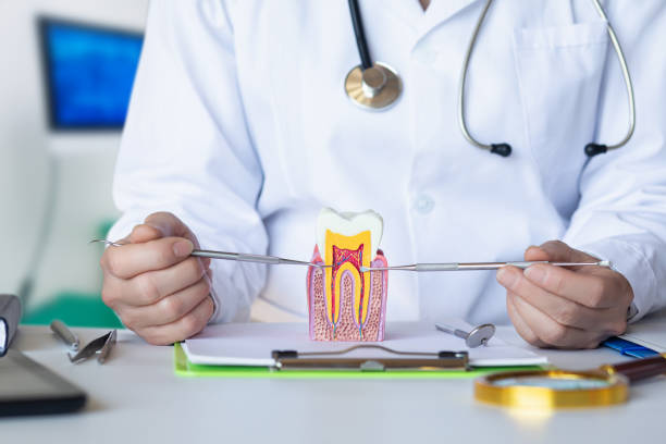 Best Emergency Treatment for Dental Infections or Abscesses in Advae, NC